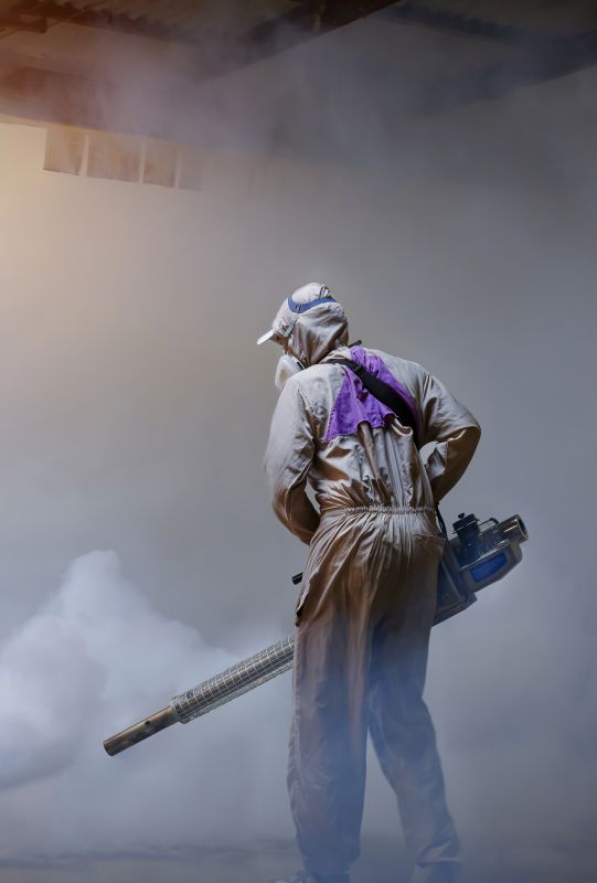 Commercial Fumigation in Tampa, FL