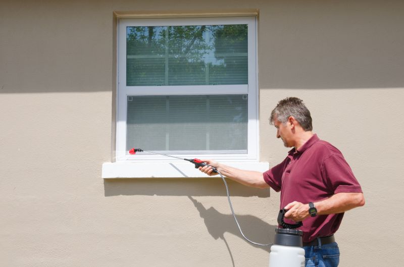 Seasonal Ant Activity And When To Schedule Pest Control Service