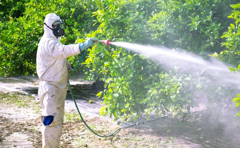Roach Fumigation in Myrtle Beach, SC